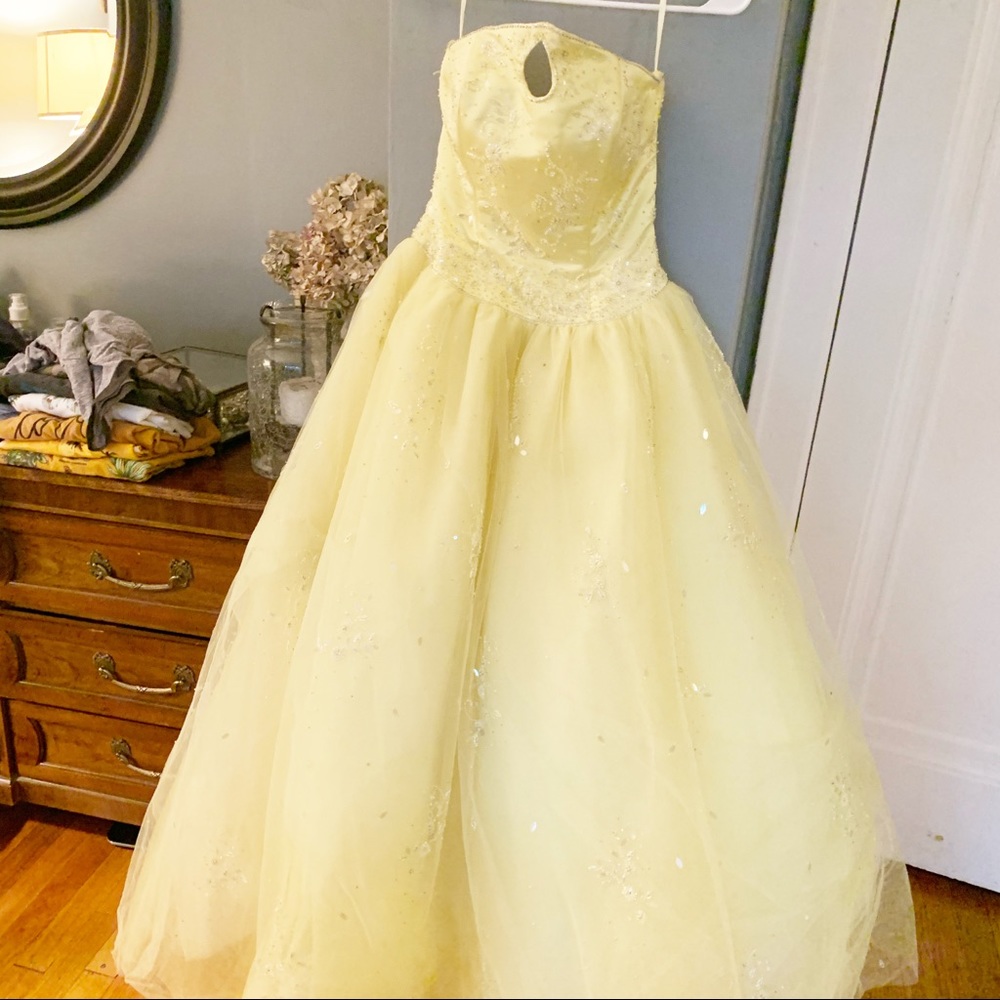 “Belle” Ballroom Dress